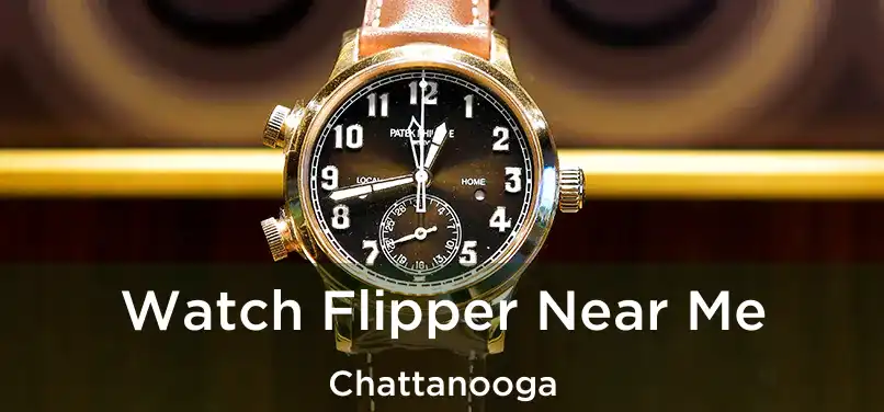 Watch Flipper Near Me Chattanooga